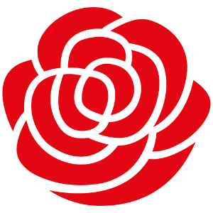SPD Rose für Solidarität